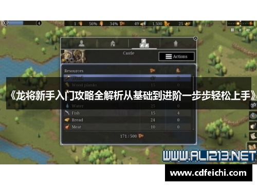 《龙将新手入门攻略全解析从基础到进阶一步步轻松上手》